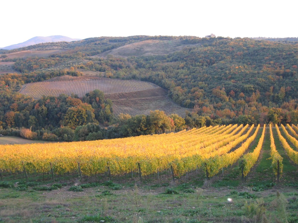 vigna nov 2010 028