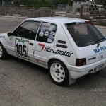 Peugeot 205 gti Gr. N 1988